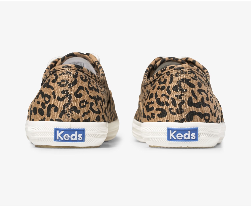 Keds Sneaker Damen Braun - Washable Champion Animal - STV-289561